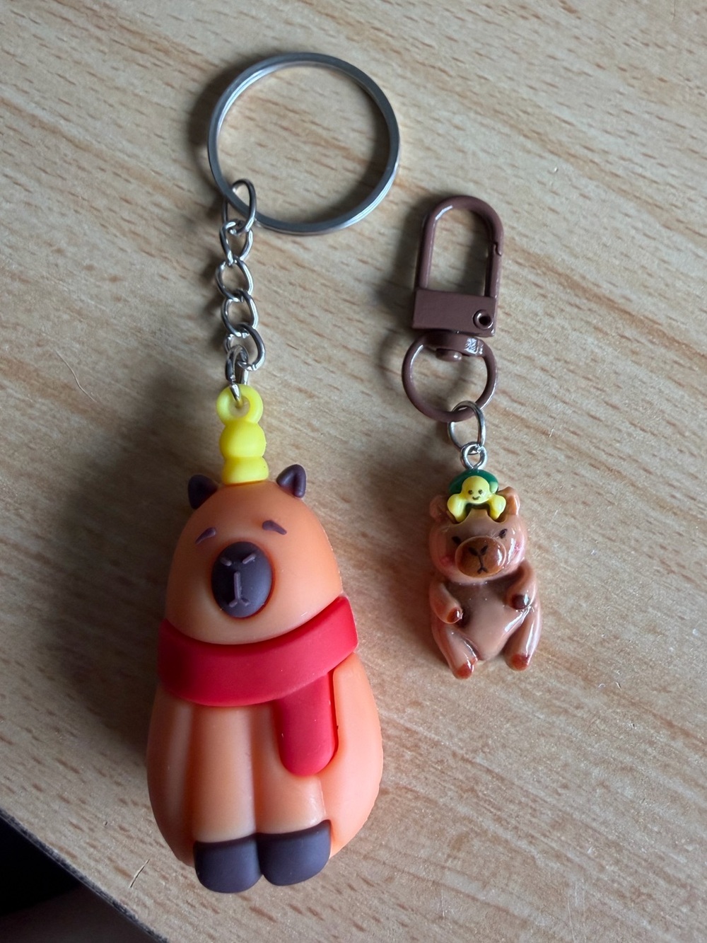 Cappybarra Keychain Set